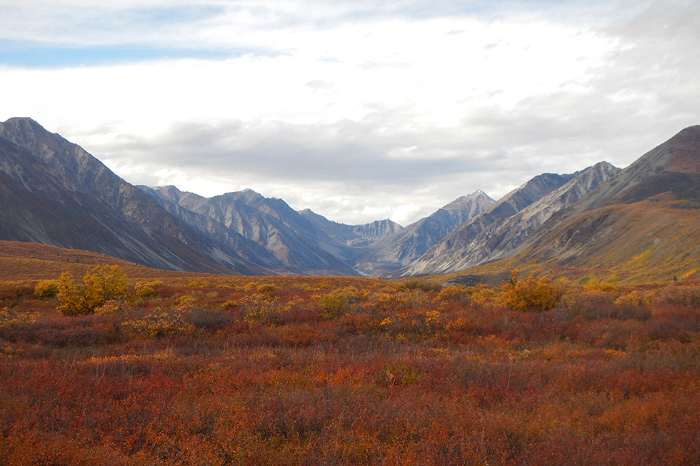 Alaska MooseHunting