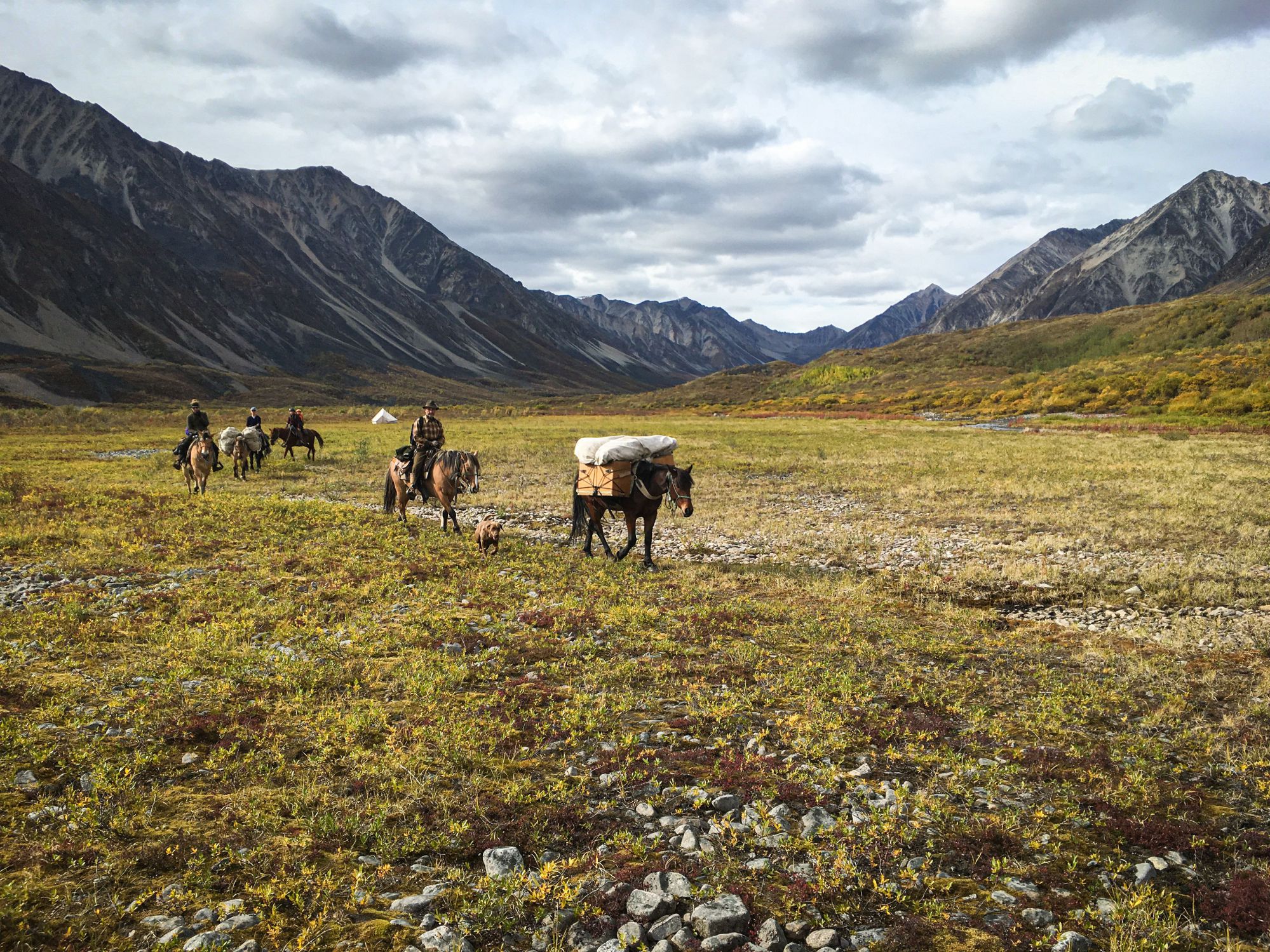 Wrangell National Park