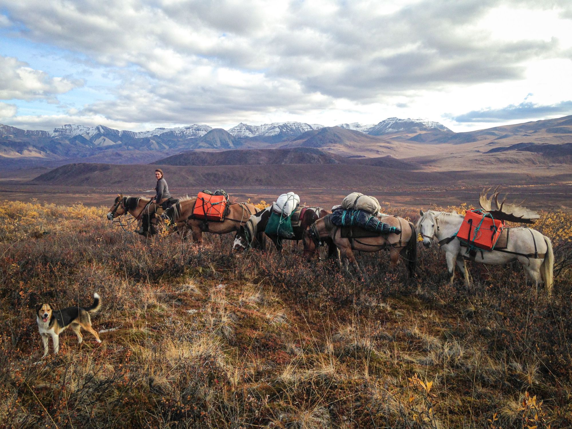 Wrangell National Park