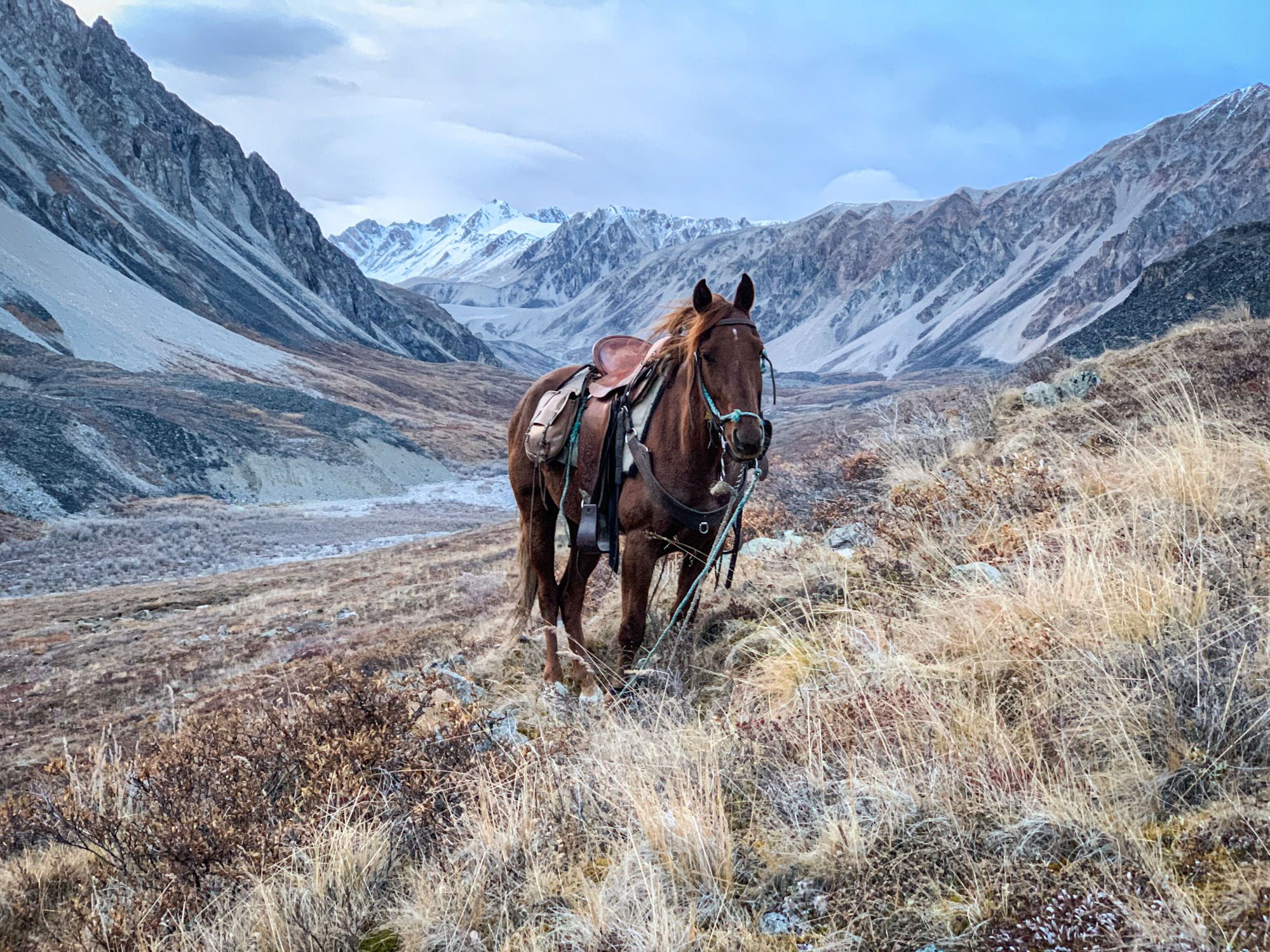 Wrangell National Park