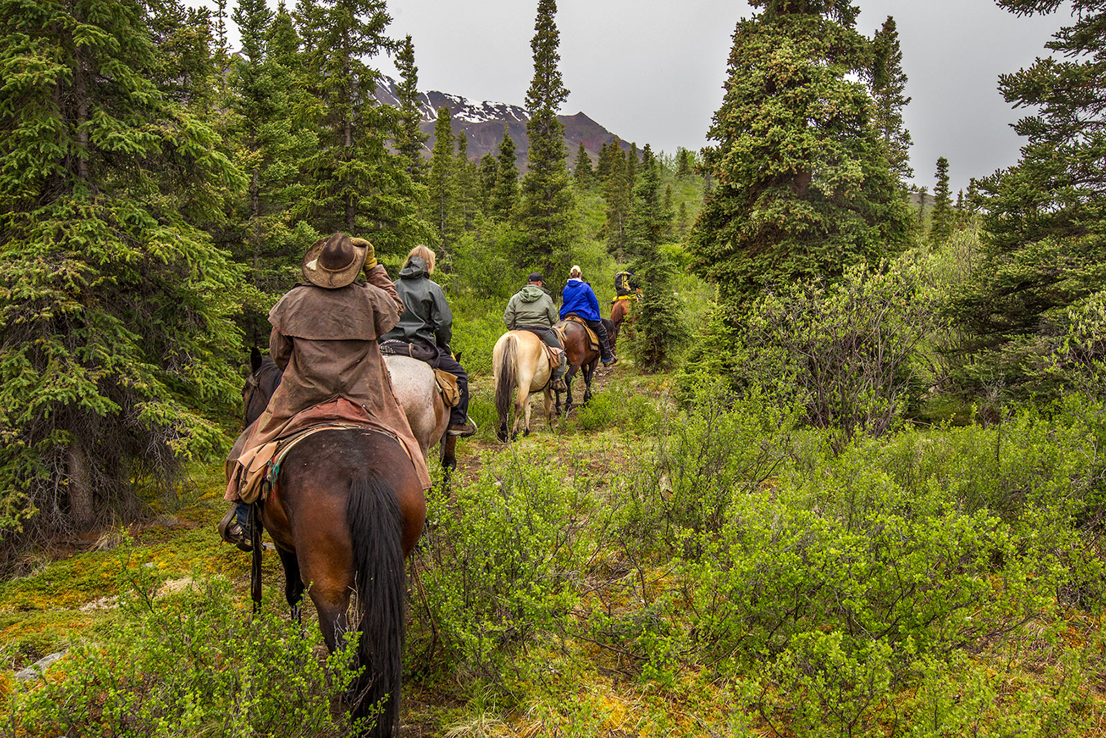 Wilderness Trail Rides