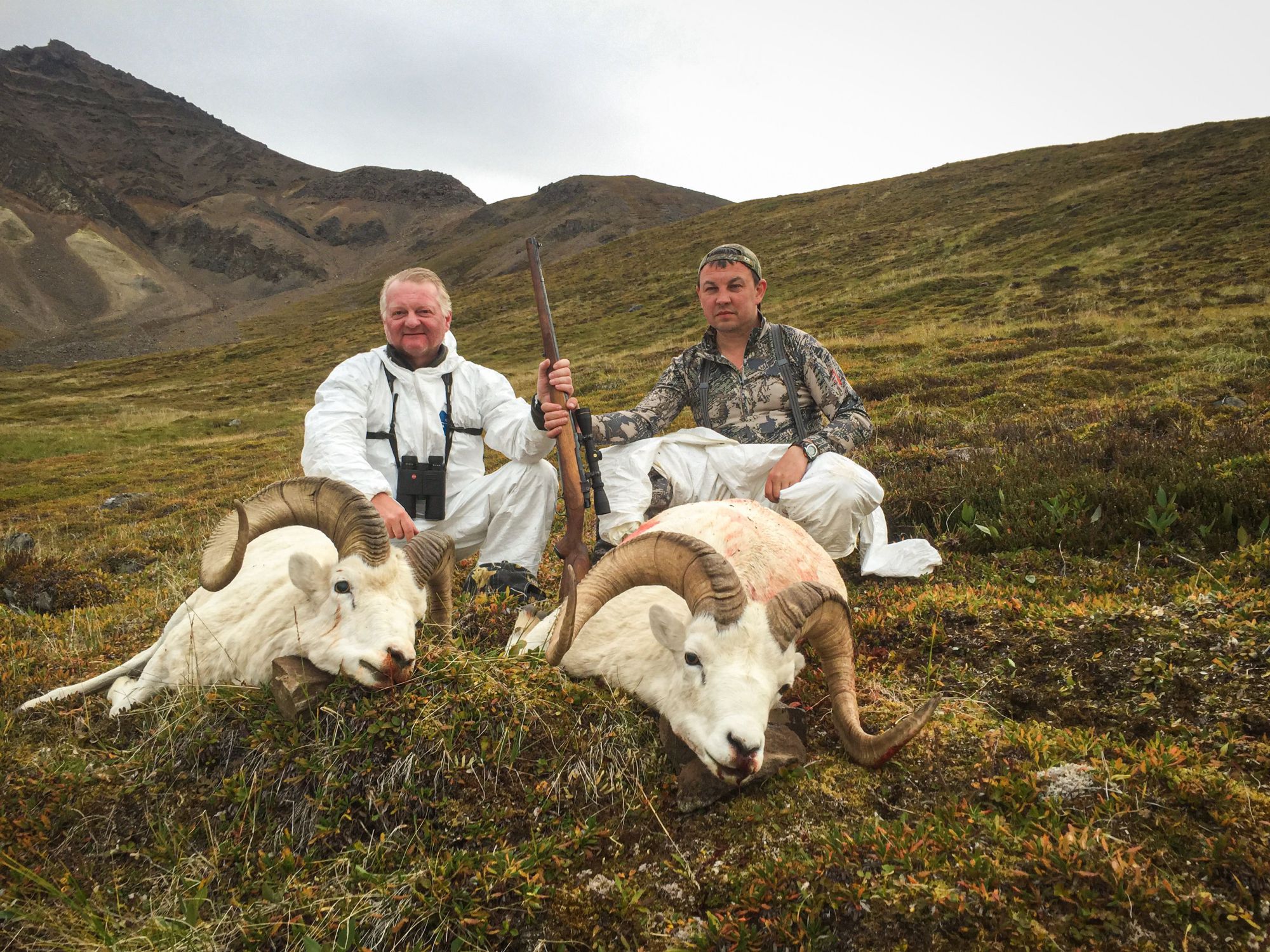 Alaska Sheep Hunting Guides | Dall Sheep Hunts - Wrangell Outfitters, Alaska