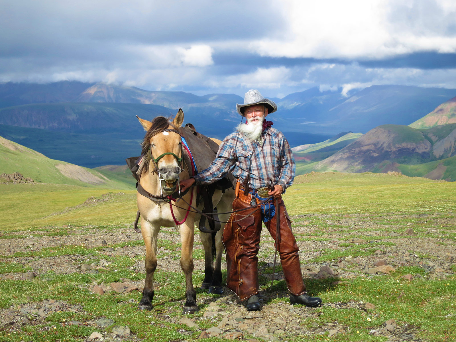 Alaska Horses