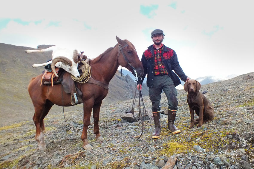 Alaska Sheep Hunts